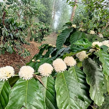 Отель Coorg Kolamotte Gonikoppal Экстерьер фото